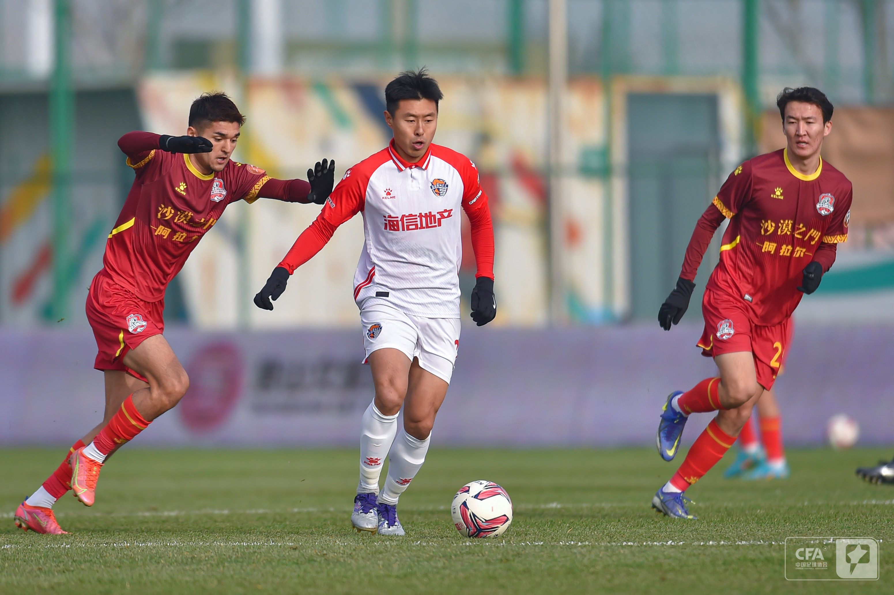 所展现的坚 所展现的坚