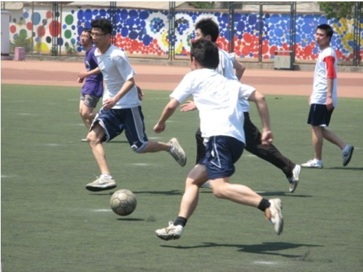 了体育用品 了体育用品